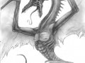 dragonrageshaded.jpg