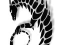 DRAGARTA_725831445.jpg
