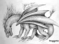 DRAGARTA_d416b128.jpg