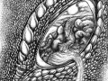 padrakovy_draci_oci_2428193157-c70.jpg