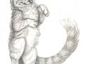 peachcatcheshire.jpg
