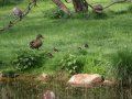 DSC01358.JPG