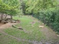 DSC01425.JPG