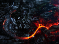beautiful-hd-wallpaper-1920x1080.png