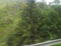 DSC04223.JPG