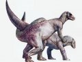 Caselli-camptosaurus.jpg