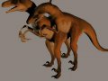 raptor_mating_1.jpg