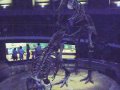 rex-sex2a.jpg