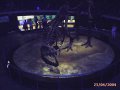 rex-sex2c.jpg