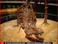 rex_018457_44.jpg