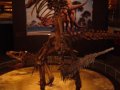 rex_mating_exhibit14b.jpg