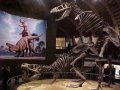 trex_mating2.jpg