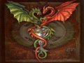 draci.jpg