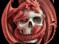 Dragon.jpg