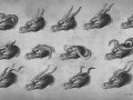 dragon_head___horns_by_amisgaudi-d3k77dv.jpg