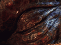 tumblr_mfyoac5Jit1qdey9ho1_500.gif