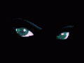 oci3.gif