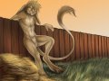 1259301957.rukis_jerboa.jpg