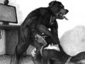 1221682053.scheriff_080916-sketch-roommates.jpg