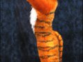 1260818138.zen_joshua_suit01.jpg