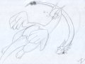 1249819334.draykeeternity_lugia_and_dragonair_play.jpg