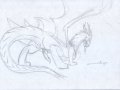 1257234529.draykeeternity_weisswinddragon.jpg