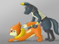 1249673881.everydaydolphin_koba_sync_fuzzy_try_copy.jpg