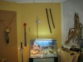 1242402280.lizardlars_img_1439.jpg