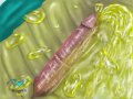 1260339031.montrosity_monty_penis_pissing_020_resize.jpg
