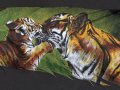 1252912008.novawuff_46stripey_kisses_by_novawuff.jpg