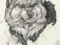 Desert_Sentinel_DETAIL_by_shadowraine.jpg