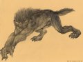 NightFlight_Stretching_by_FerosWolf.jpg