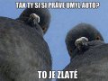 FB_IMG_1439750981636.jpg