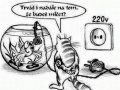 FB_IMG_1440622642446.jpg