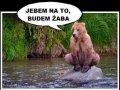 FB_IMG_1440699384945.jpg