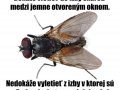 FB_IMG_1441181941714.jpg