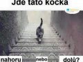 FB_IMG_1443245513787.jpg