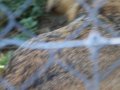 100_1859.JPG