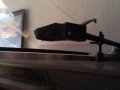 IMG_20130316_092214.jpg