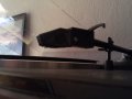 IMG_20130316_092217.jpg