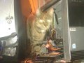 IMG_20130405_191305.jpg