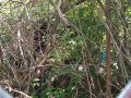 IMG_20130521_115847.jpg