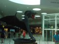 IMG_20160618_154456.jpg