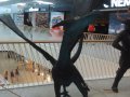 IMG_20160618_154654.jpg