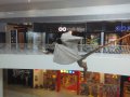 IMG_20160618_154904.jpg