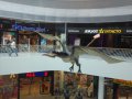 IMG_20160618_154931.jpg