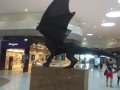 IMG_20160618_155333.jpg