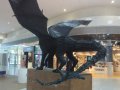 IMG_20160618_155342.jpg
