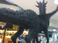 IMG_20160618_155352.jpg