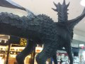 IMG_20160618_155354.jpg